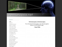 hemianopsia.net Thumbnail