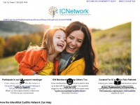 ic-network.com