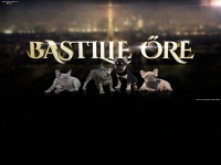 Bastilleore.com