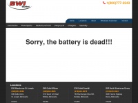 batterywholesaleinc.com Thumbnail