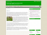battingcageinsurance.com Thumbnail