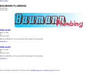 Baumannplumbing.com