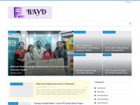 Bayd.info