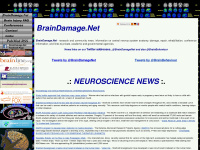 braindamage.net Thumbnail