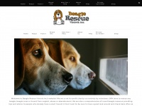 Beaglerescuevic.org