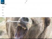 Bearcommunications.com