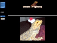 Bearded-dragons.org