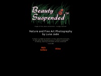 beautysuspended.com