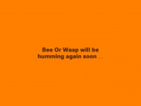 Beeorwasp.com