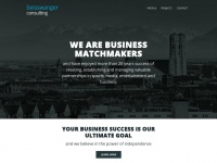 Beisswanger-consulting.com