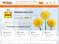 belizeinvest.com Thumbnail