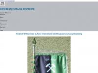 bergbauforschung-bramberg.com