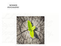 Winnerpsychiatry.com