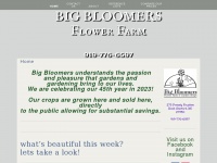 Bigbloomersflowerfarm.com