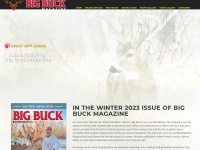 Bigbuckmag.com