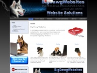 Bigdawgwebsites.com