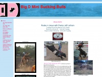 bigdminibuckingbulls.com Thumbnail
