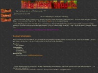 bigheadstudio.com