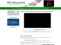 bignetworking.org Thumbnail