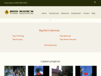 Bigronstreeservice.com