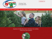 Bigwavedaveschristmastrees.com