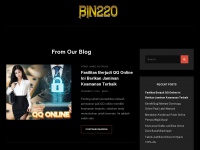 bin220.com Thumbnail