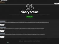 binarybrains.com Thumbnail