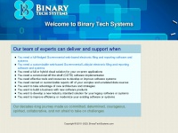 binarytechsystems.com
