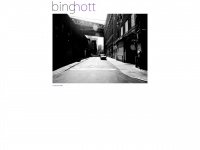 binghott.com