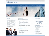 bintelgroup.com