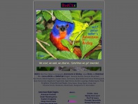 Birdclix.com