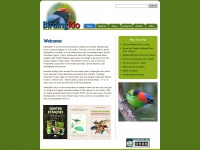 Birdingrio.com