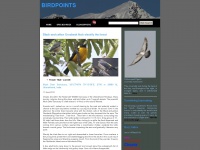 birdpoints.com Thumbnail