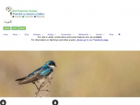 birdprotectionquebec.org Thumbnail