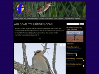 birdspix.com Thumbnail