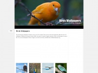 birdswallpapers.org Thumbnail