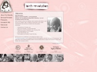 birthrevolutionmidwifery.com