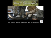 fossils.com.au Thumbnail