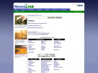 newslink.org Thumbnail