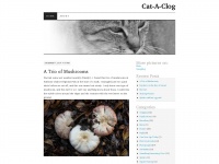 Cataclog.wordpress.com