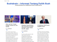 bushsbrain.com