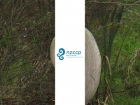 Nzccp.co.nz