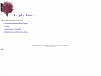 Purplebeech.com