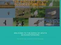 thebirdsofsouthgloucestershire.co.uk Thumbnail