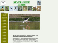 Severnsidebirds.co.uk