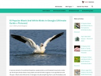 seabirdsanctuary.org Thumbnail