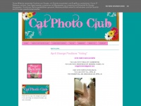 catphotoclub.blogspot.com Thumbnail