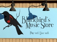 blackbirdsmusicstore.com