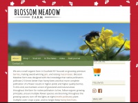 blossommeadow.com