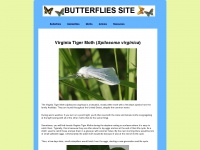 butterfliessite.com